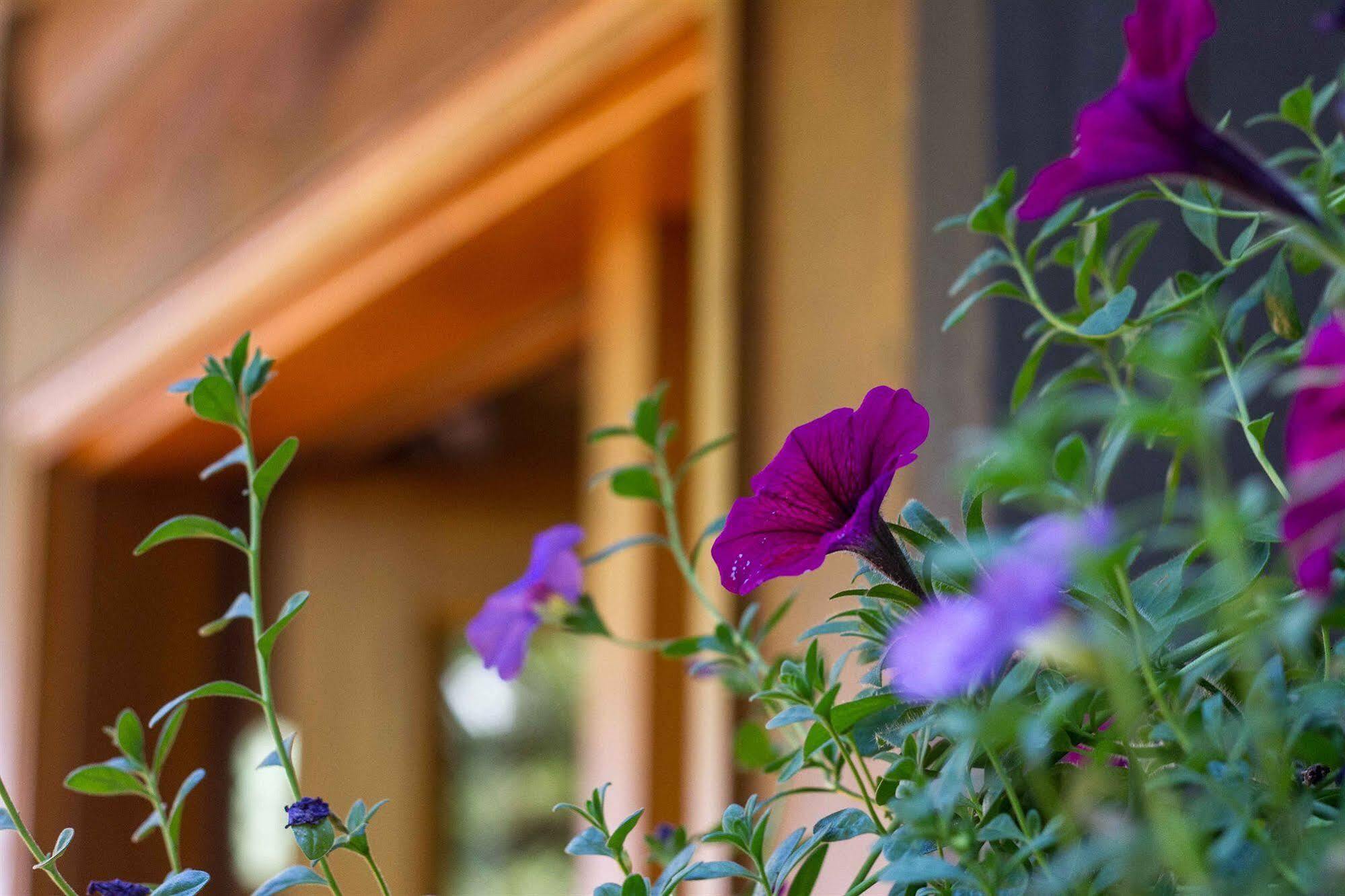 Tranquility Bay Waterfront Inn Sechelt Exterior photo